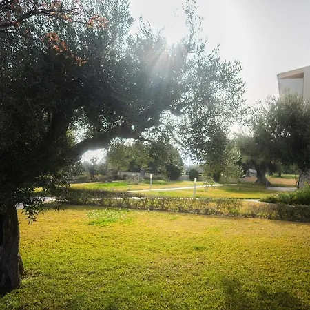 Seaview Retreat *